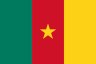 Flag of Cameroon