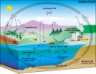 Carbon Cycle Diagram