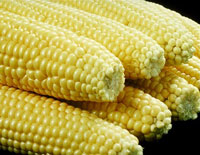 Corn