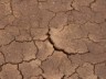 dried mud