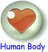 Human Body for Kids