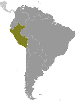 Peru location