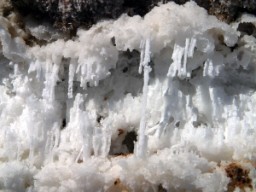 Grow your own salt crystals