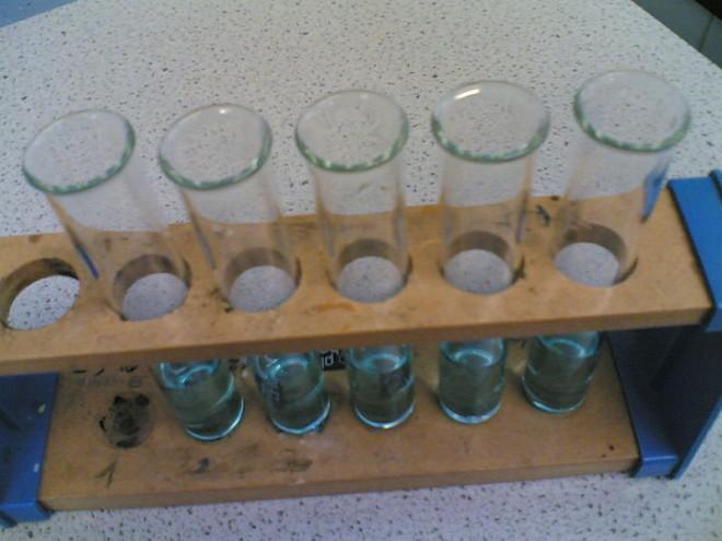 A simple overhead photo of a group of test tubes, similar to something you might see in a high school chemistry lab.